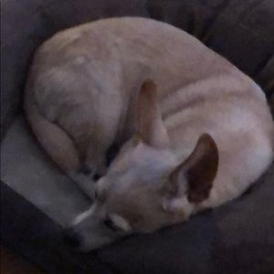 Meet your Posher, Alma